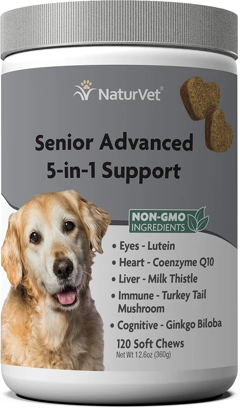 Top Dietary Supplements for Senior Dogs Backed by Experts