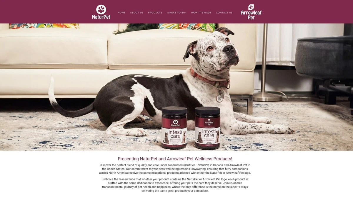 Top Dog Vitamin Supplements 2026 Backed by Vets & Science