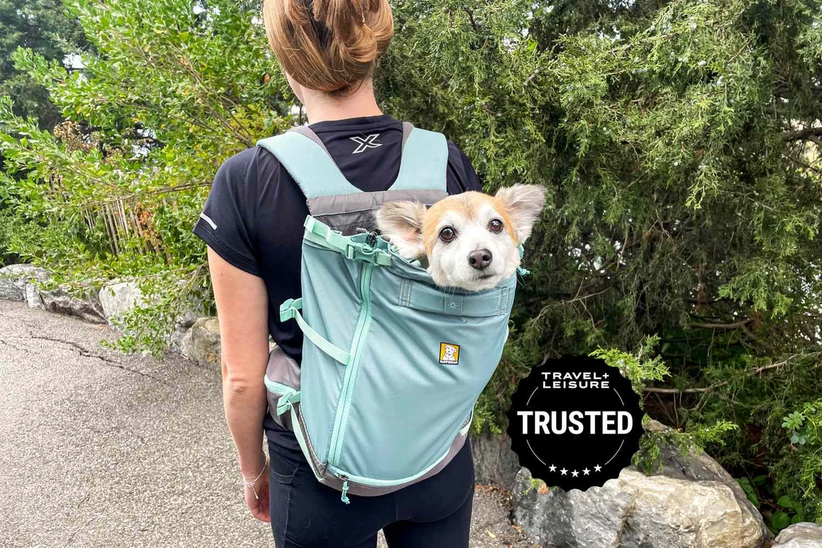 Top Eco-Conscious Pet Travel Destinations with Sustainable Amenities
