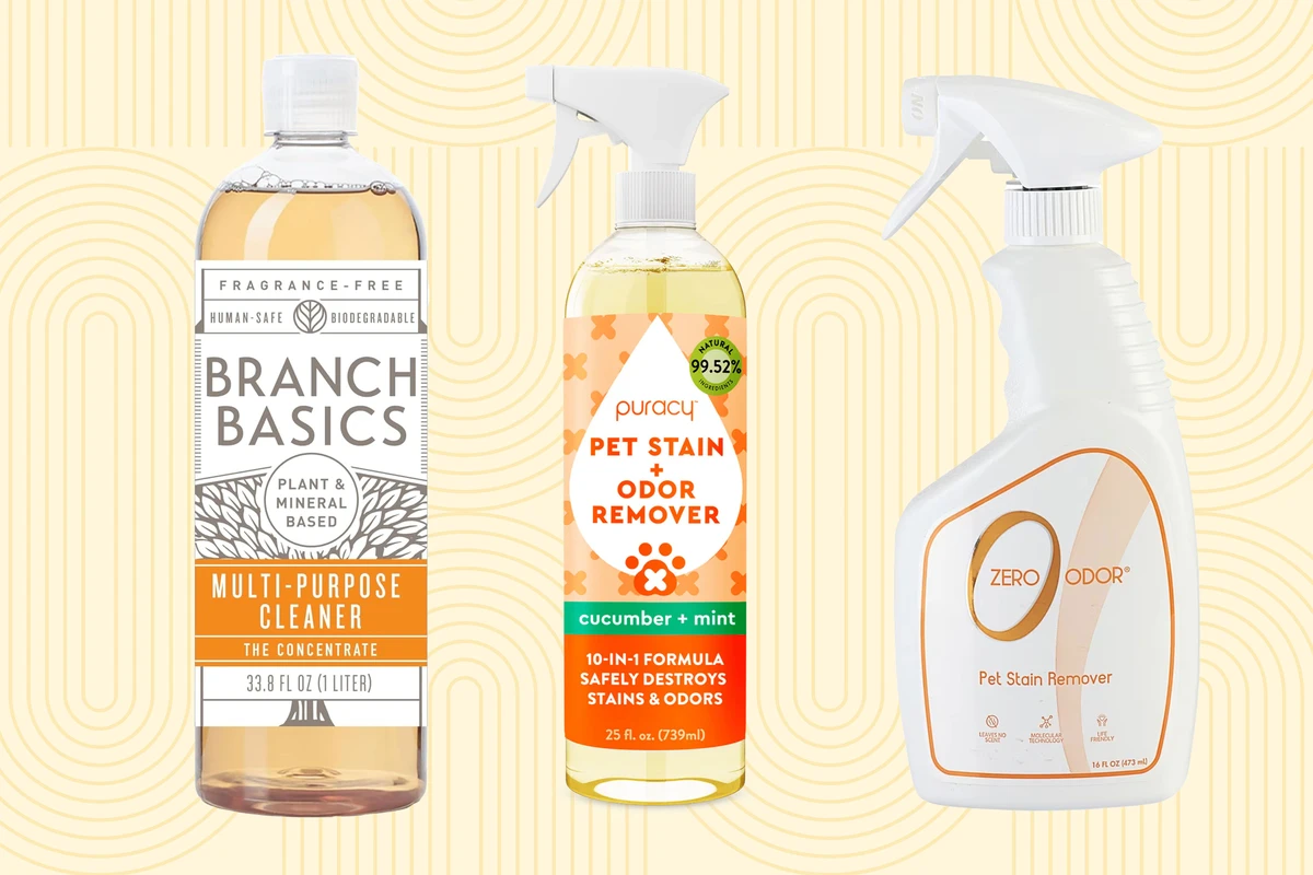 Top Eco-Friendly Pet Stain Removers Use Enzymes for Safe Cleaning
