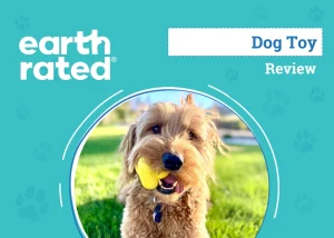 Top Eco-Friendly Pet Toy Brands Reviewed for Safety & Sustainability