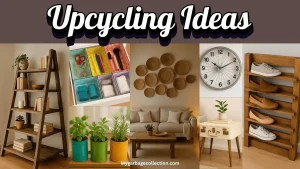 Upcycling Old Materials for Pet Toys Drives Sustainable Innovation