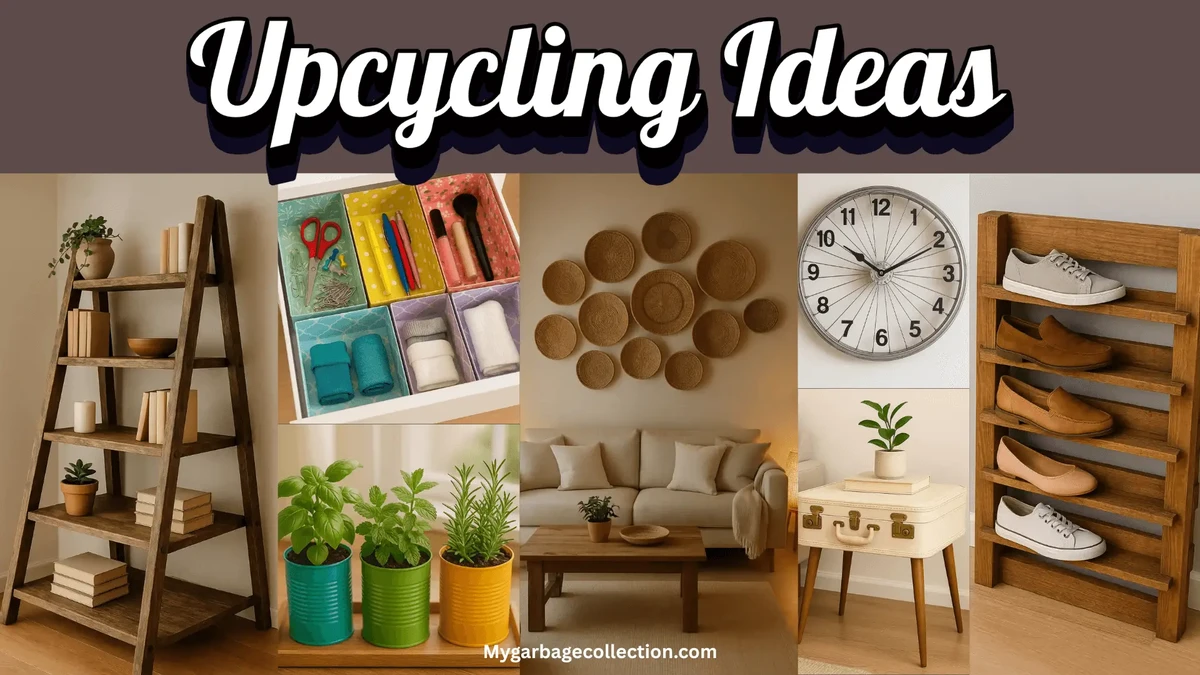 Upcycling Old Materials for Pet Toys Drives Sustainable Innovation