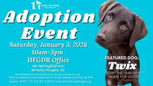 Where to Find Local Pet Adoption Events 2026 Nationwide