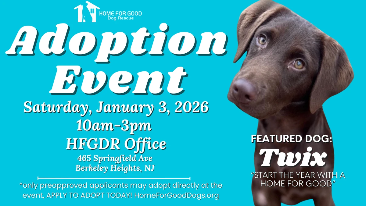 Where to Find Local Pet Adoption Events 2026 Nationwide