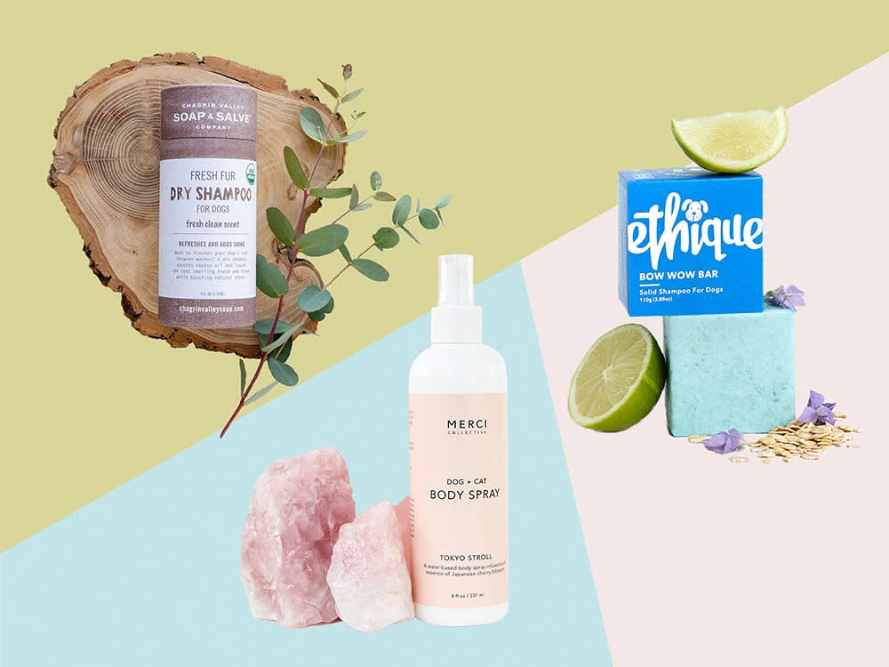 Eco-Friendly Dog Grooming: How to Avoid Greenwashing