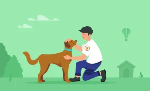 Eco-Friendly Pet Fostering: Essential Sustainable Guide