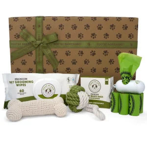 Eco-Friendly Pet Products: How to Spot Greenwashing