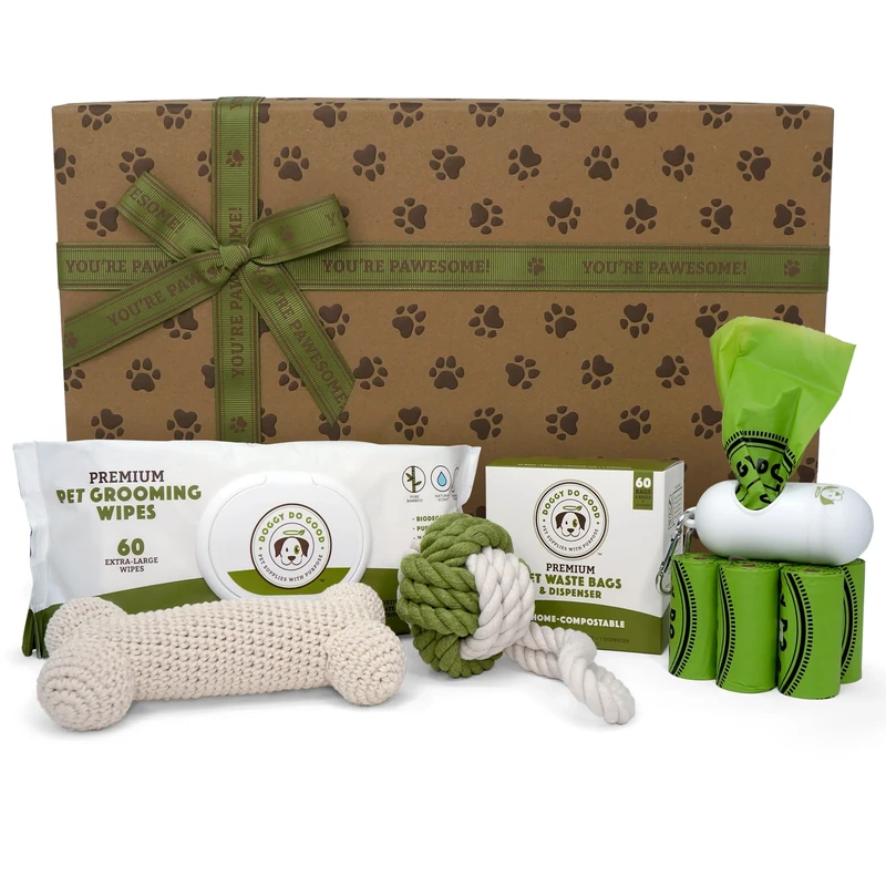 Eco-Friendly Pet Shop Guide: How to Spot Greenwashing