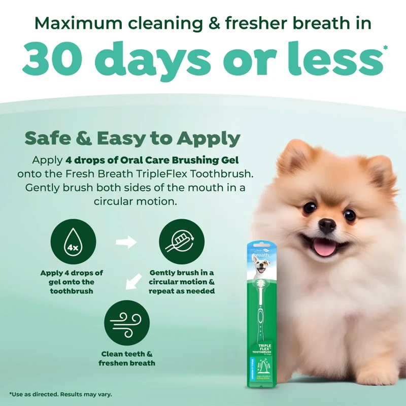 How to Choose Eco-Friendly Pet Dental Care Effectively