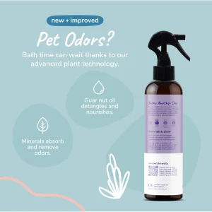 How to Switch to Eco Friendly Pet Cleaning Products