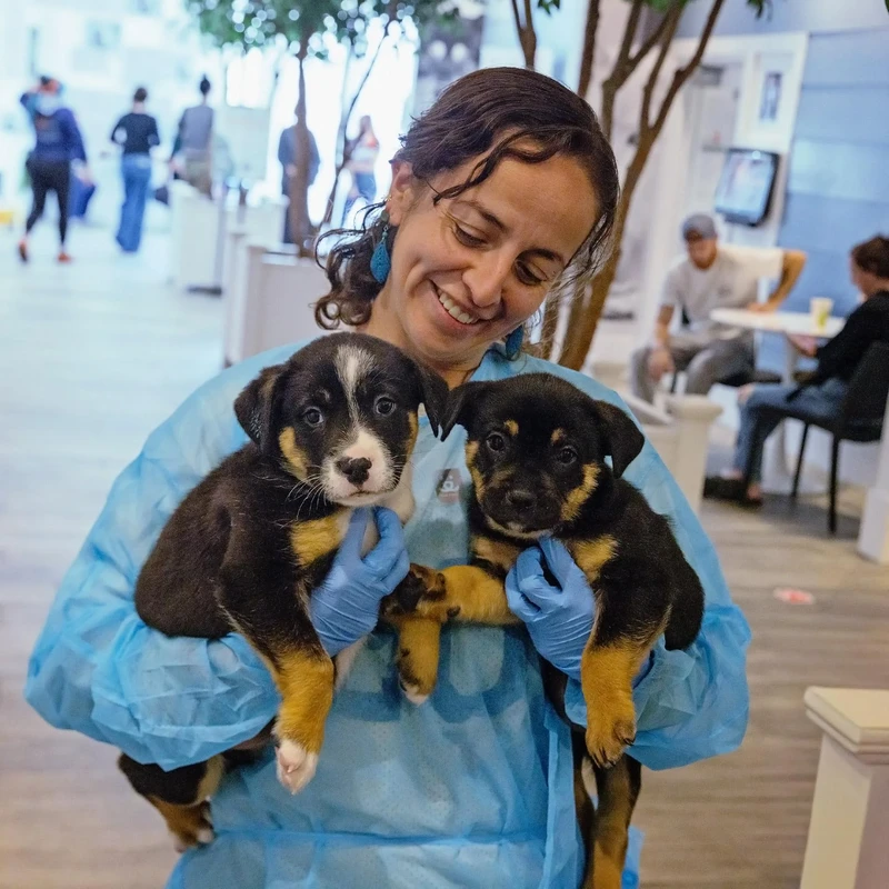 How to Vet Pet Adoption and Animal Rescue Groups