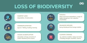 Pet Food's Impact on Biodiversity and Global Deforestation