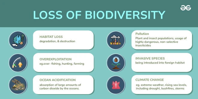 Pet Food's Impact on Biodiversity and Global Deforestation