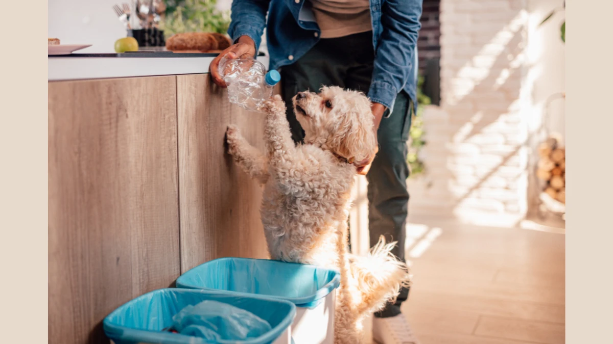 Sustainable Pet Care: How to Avoid Greenwashing Tactics