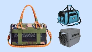 Sustainable Pet Travel: 4 Pillars for Zero-Waste Trips