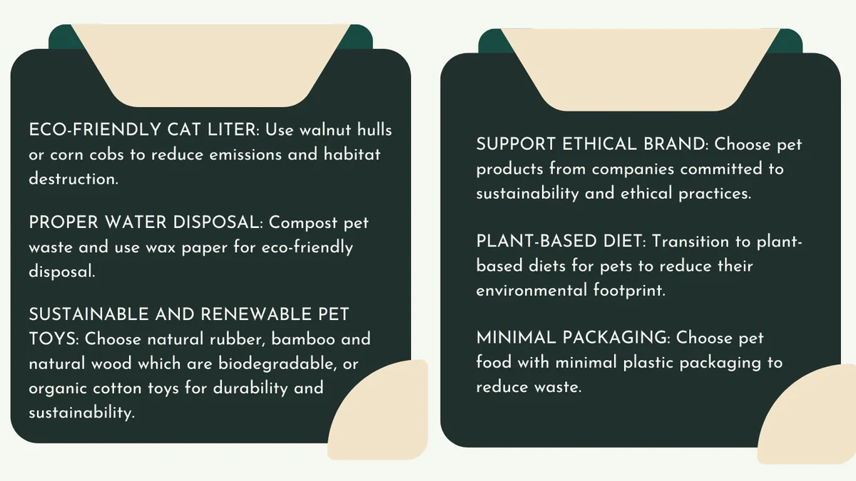 Eco-Friendly Pet Care: Sustainable Tips & Product Guide