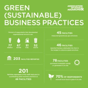Eco-Friendly Pet Conservation: A Guide to Sustainable Care