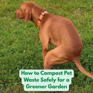 How to Compost Pet Waste Safely: Heat & Trenching Guide