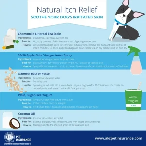 Natural Remedies for Dog Allergies: Effective Holistic Care
