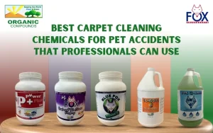 Eco-Friendly Carpet Cleaning for Pet Accidents: Expert Guide