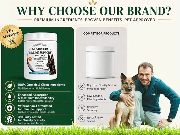 Eco-Friendly Pet Supplement Benefits & Greenwashing Guide