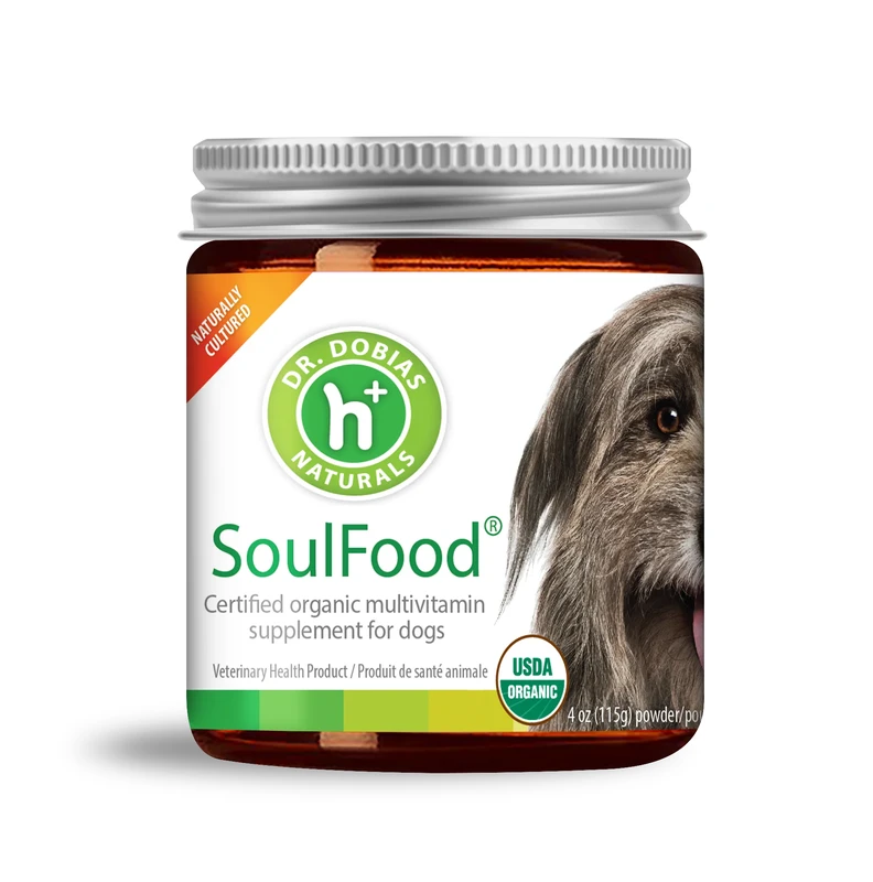 Eco-Friendly Pet Supplements: Sustainable & Easy to Digest