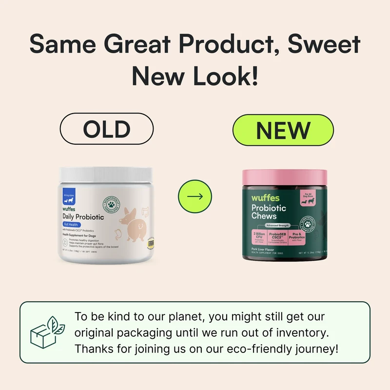How to Choose Eco-Conscious Vitamin Brands for Pets