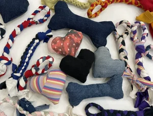 Recycled Materials for Pet Toys: A Guide to Eco-Friendly Safety