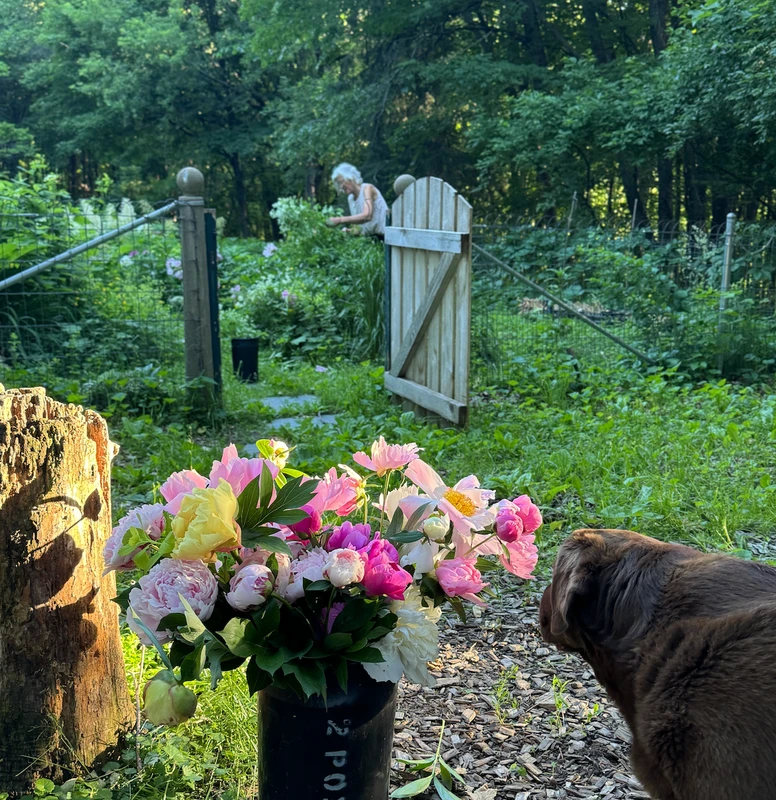 Safe DIY Natural Pet Deterrents for Gardens in 2026