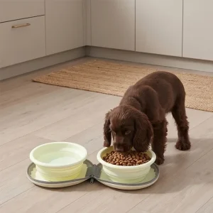 Sustainable Pet Food for Travel: Weight & Eco-Friendly Tips