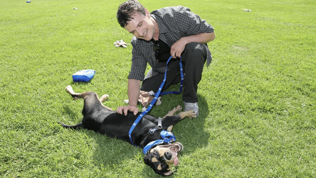 Sustainable Pet Ownership in California: A Green Guide