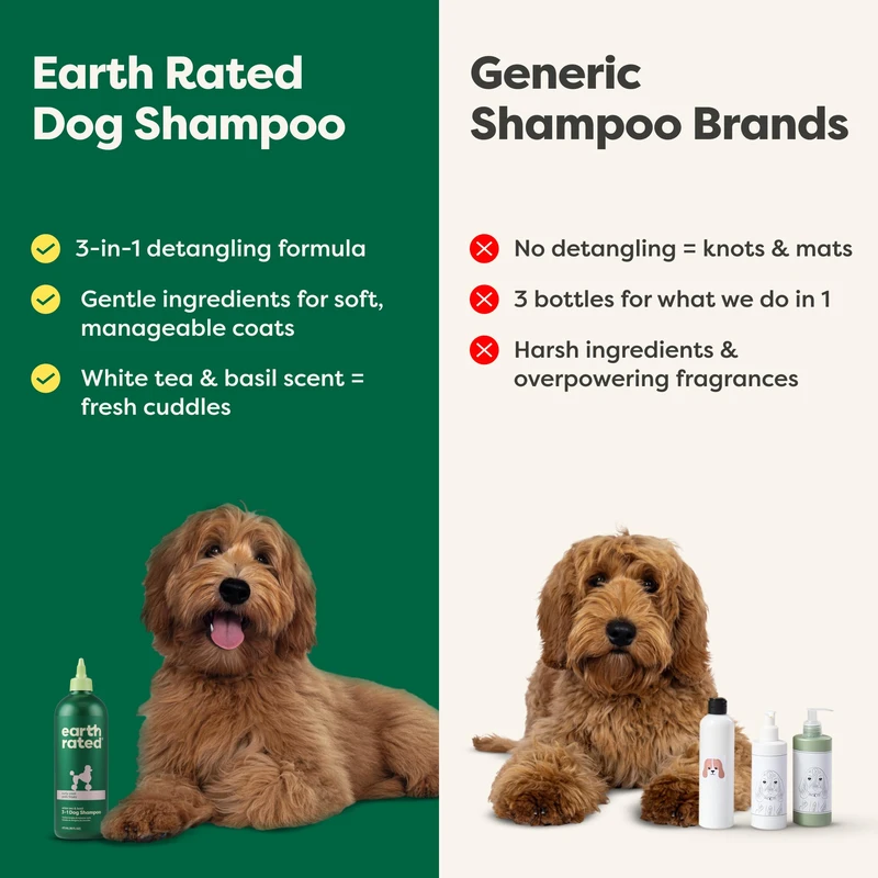 Best Eco-Friendly Conditioners for Curly Haired Dogs
