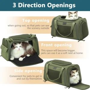 Eco-Friendly Pet Travel: How to Reduce Your Pet's Carbon Footprint