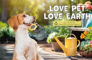 How to Audit Eco-Friendly Pet Supplies & Avoid Greenwashing