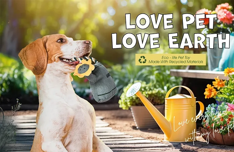 How to Audit Eco-Friendly Pet Supplies & Avoid Greenwashing