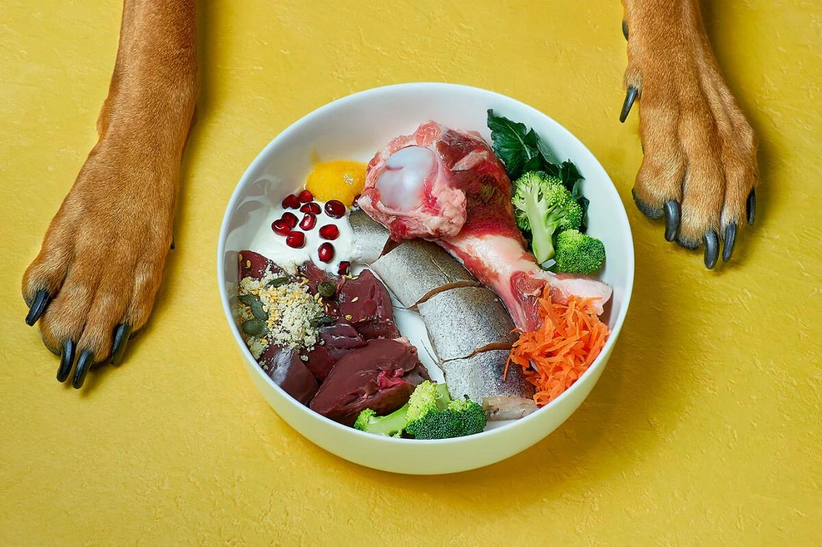 Natural Pet Food Diets: Avoiding Nutritional Failure