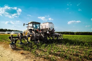Regenerative Agriculture in Pet Nutrition: Trends & Truths