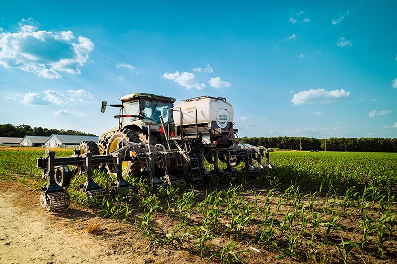 Regenerative Agriculture in Pet Nutrition: Trends & Truths