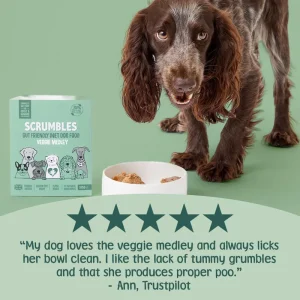 Sustainable Pet Food: How to Identify Real Eco-Friendly Brands