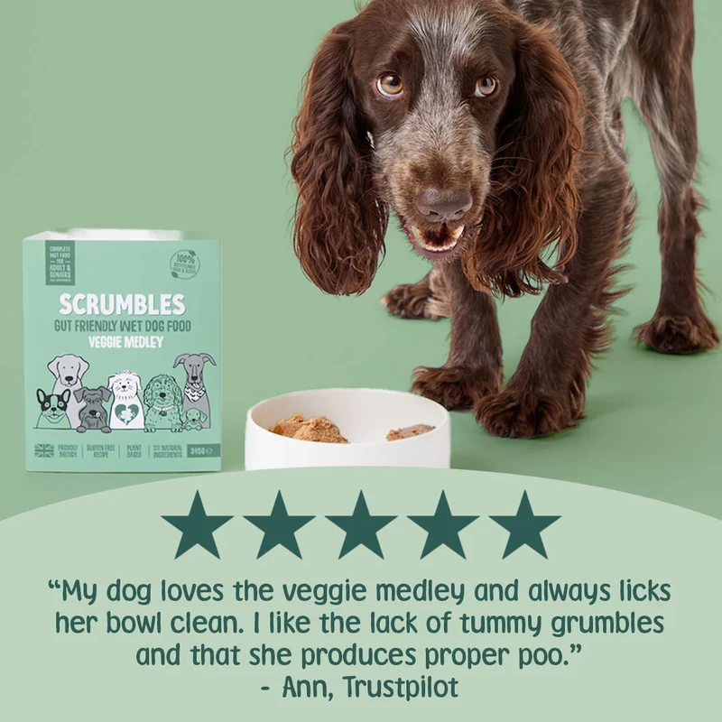 Sustainable Pet Food: How to Identify Real Eco-Friendly Brands
