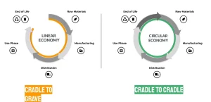 Sustainable Pet Product Lifecycle: Circular Economy Guide