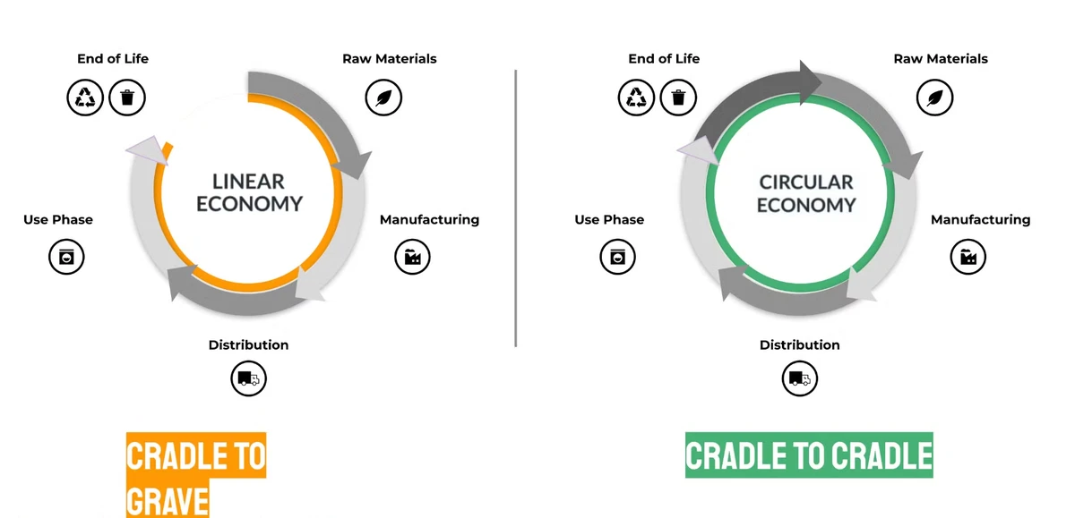 Sustainable Pet Product Lifecycle: Circular Economy Guide