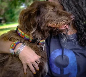 Why Hemp Collars Are Best for Rescued Pets
