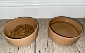 Biodegradable Pet Food Bowls: Are They Truly Sustainable?