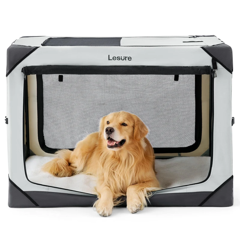 Sustainable Pet Travel: How to Reduce Your Carbon Pawprint